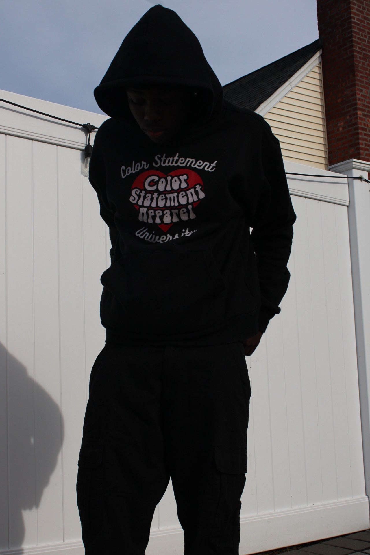 COLOR STATEMENT UNIVERSITY HOODIES