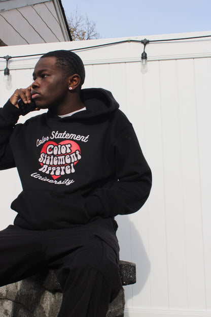 COLOR STATEMENT UNIVERSITY HOODIES