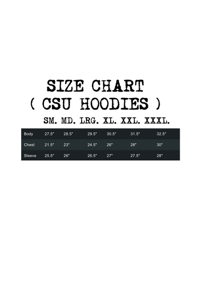 COLOR STATEMENT UNIVERSITY HOODIES